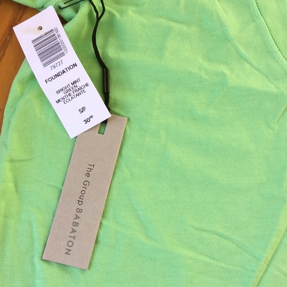 Aritzia - Foundation V-Neck T-Shirt - Bright Mint - Picture 4 of 4